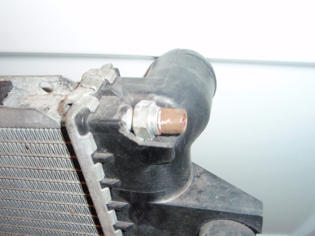 P1010006.jpg