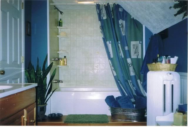 Ohw View Topic How To Hang A Shower Curtain With A Slanted Ceiling