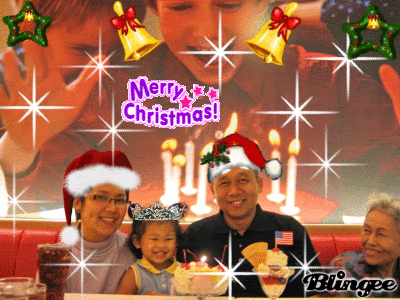 Merry Christmas A Happy New Year 2008