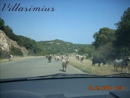 Costarei-Villasimus011.jpg
