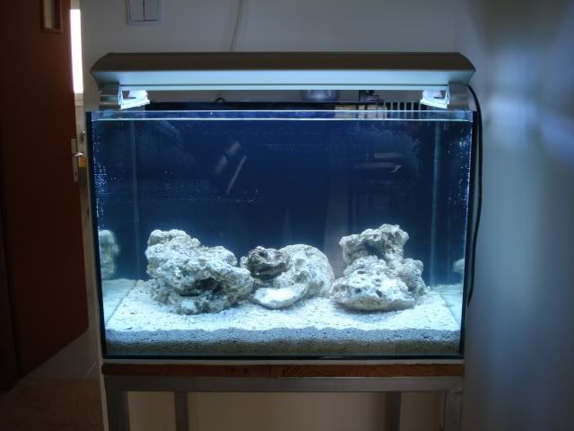 100l marine fish tank