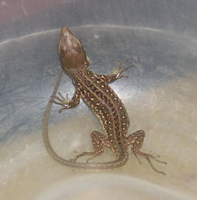 photo P1010044_zps4ebbe397.jpg