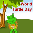 World Turtle Day 5/23