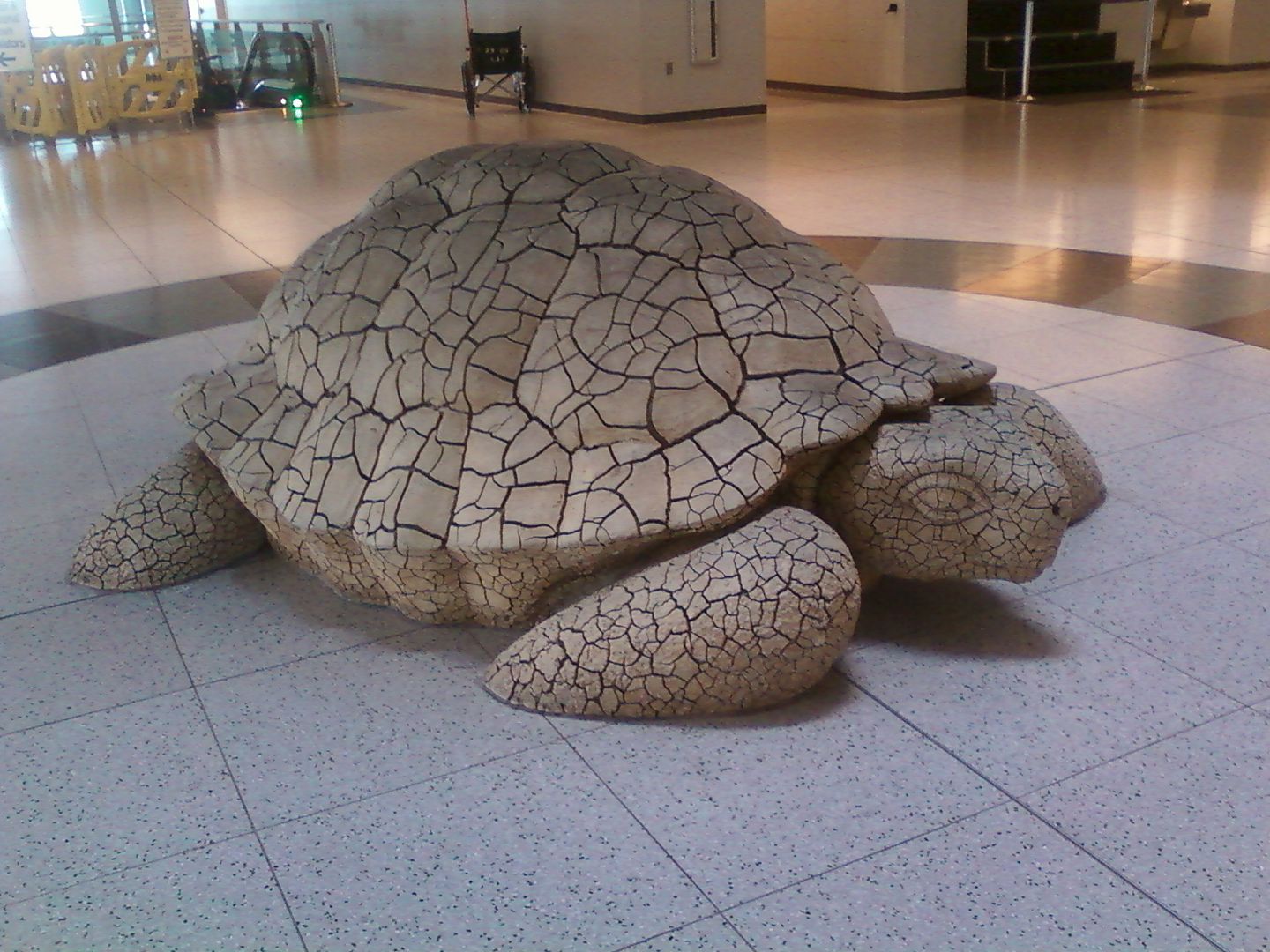 Turtle Sculpture, @ LV Airport