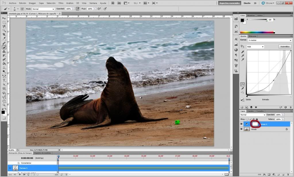 photoshop photoshop