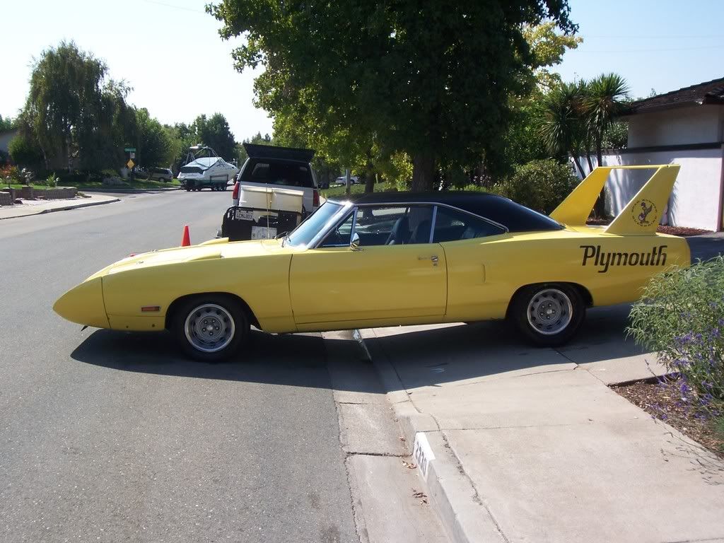 SuperbirdSidewalk.jpg
