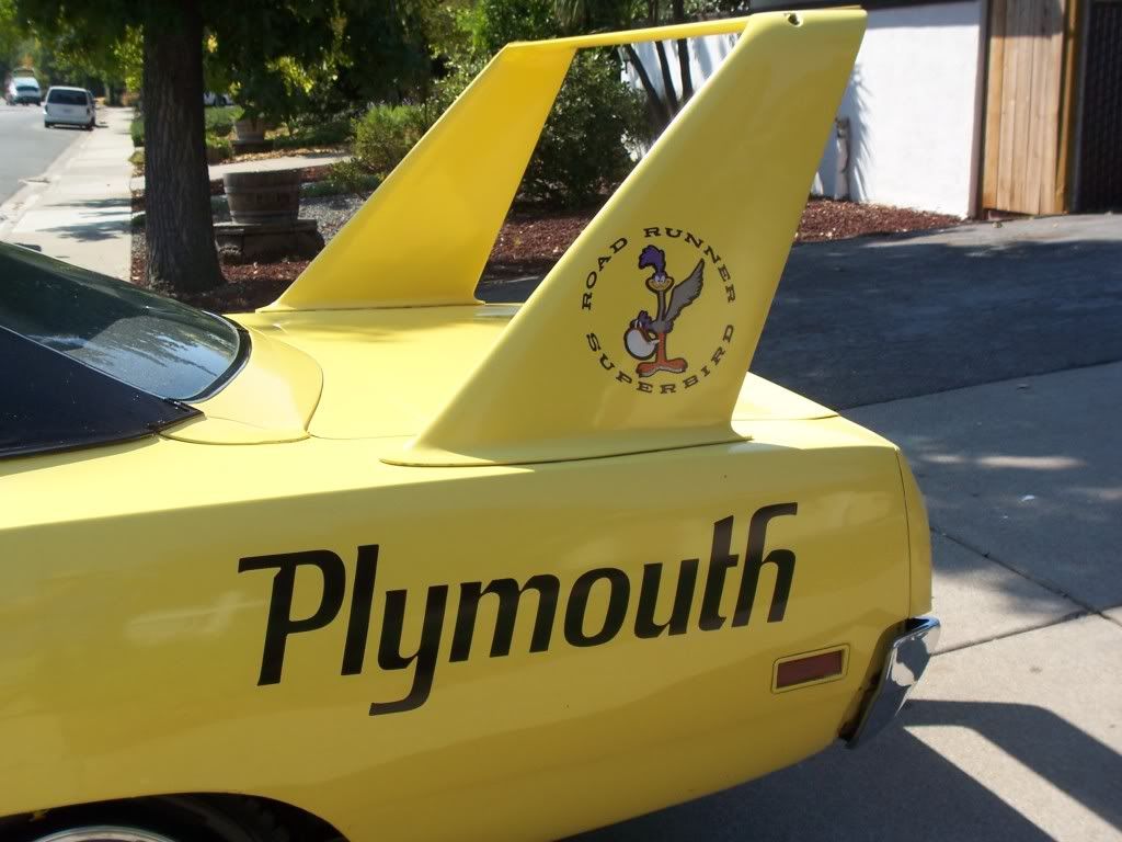 tailsuperbird.jpg