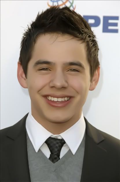 David Archuleta faux hawk hair