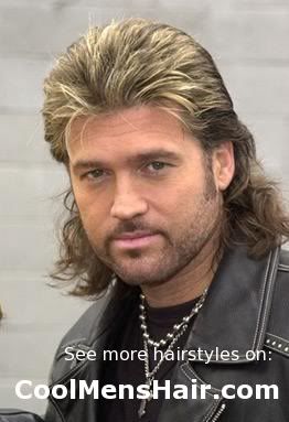 mullet hair style photo