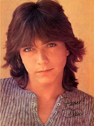 shag hairstyles for women. David Cassidy shaggy hairstyle