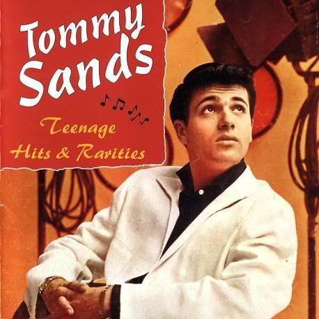 Tommy Sands Classic Bouffant Hairstyle