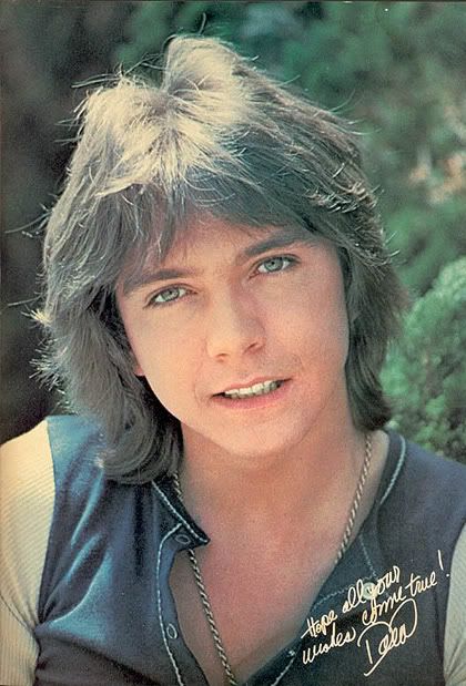 David Cassidy Hairstyles - Classic Men's Shag Haircuts