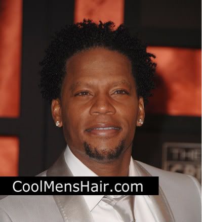 Picture of D. L. Hughley afro twist hair. 