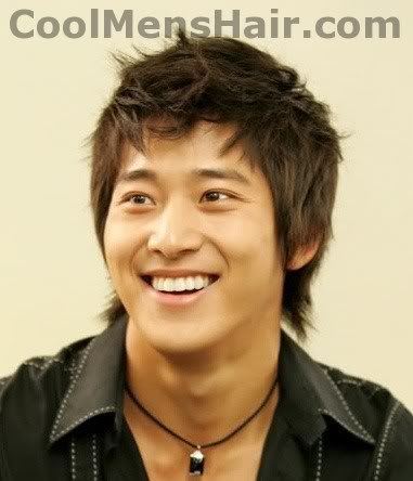 popular korean hairstyles. Photo of Lee Wan hairstyle for