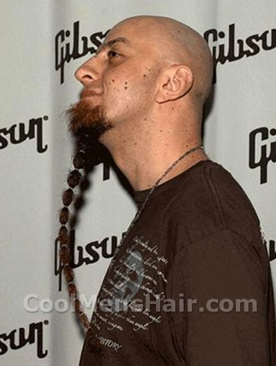 Photo of Shavo Odadjian beard. - Shavo-Odadjian-beard