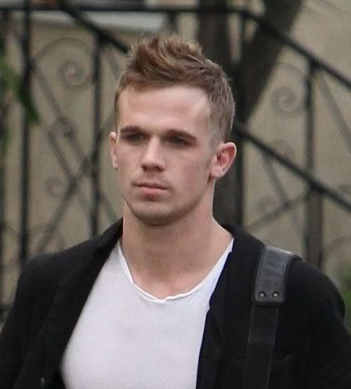 Image of Cam Gigandet faux hawk hairstyle.