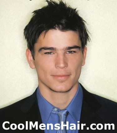 Picture Of Josh Hartnett Hairstyle For Young Men