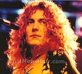 Photo of Robert Plant hairstyle.