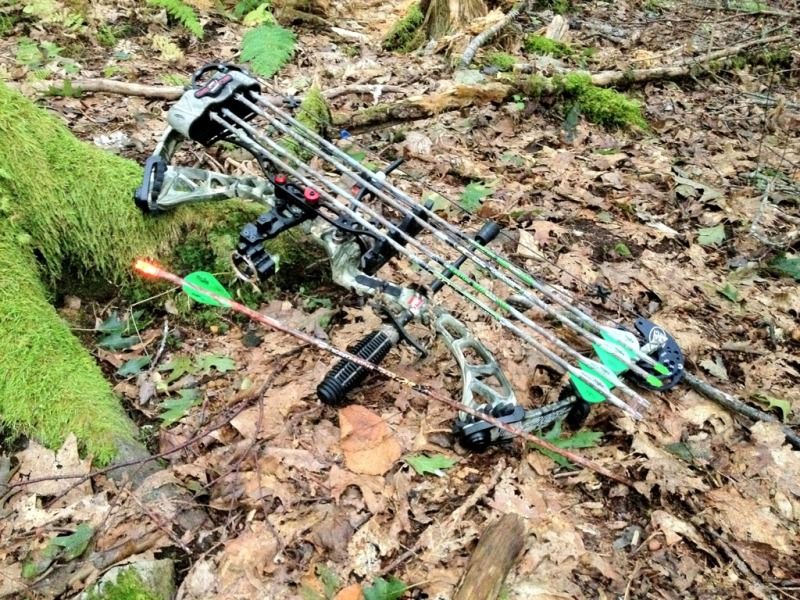 2012 Archery Deer Success Stories Nova Scotia Hunting Forum