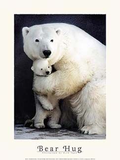 bear_hug_poster.jpg Everyone needs a hug image by Orik_Basher