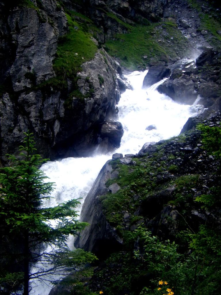 River Pictures, Images and Photos