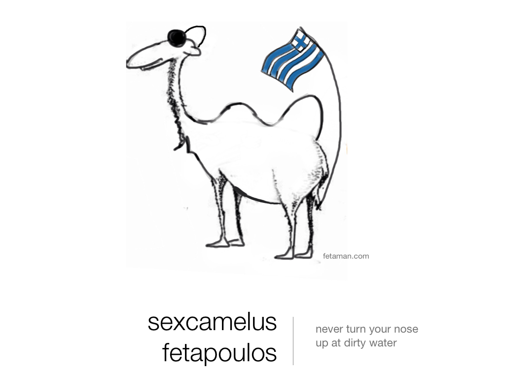 Sexcamelus Fetapoulos Sexcamelus Fetapoulos, Years ago, wrote a very wild piece on this concept, and have been batting it around for years, so now is the time to unleash some of it, and ensure that other pieces are given the chance to actually attract some more interest. you think it is just the acid in life that makes me keep changing from feta, to camel, to an abide monk. no, just life in and of itself being a trip.