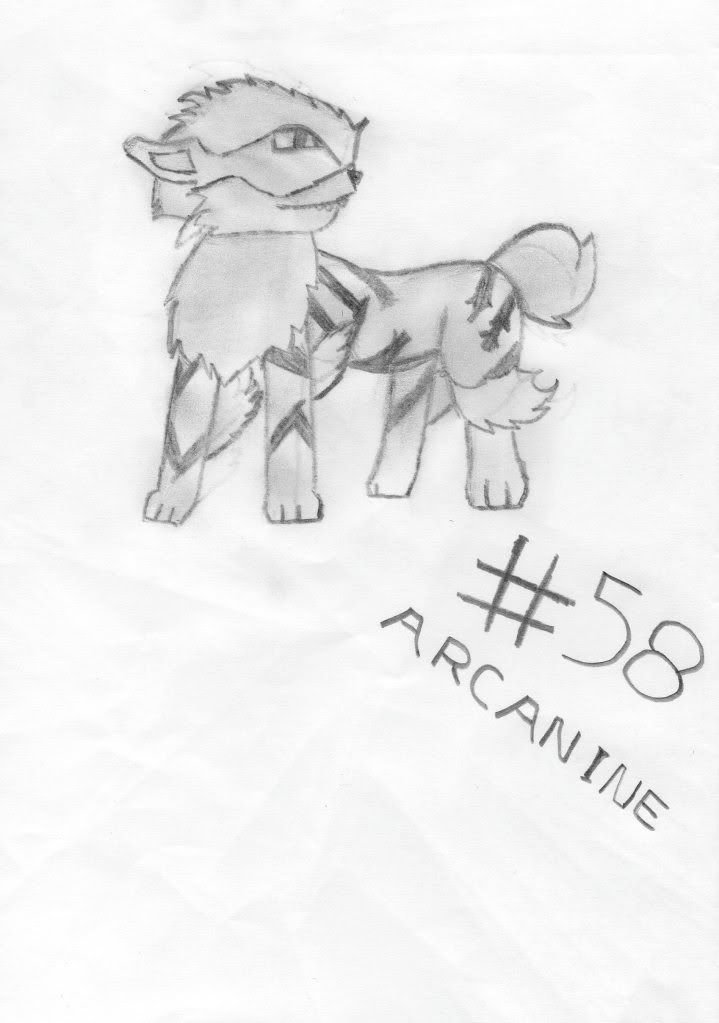 Arcanine Drawing