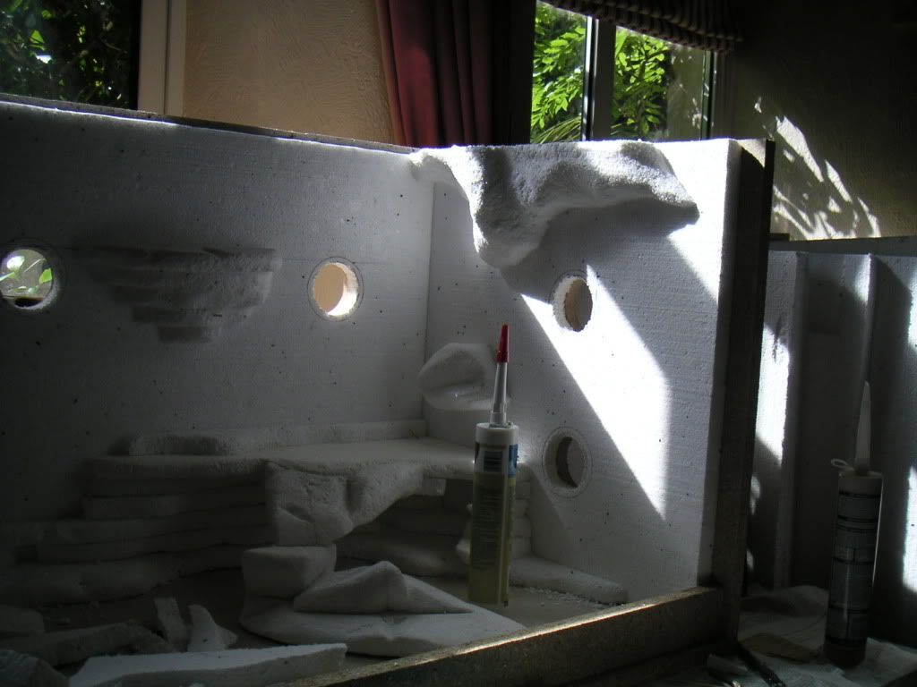 Vivarium and Fake Rock Summer Project PICTURE HEAVY Reptile Forums