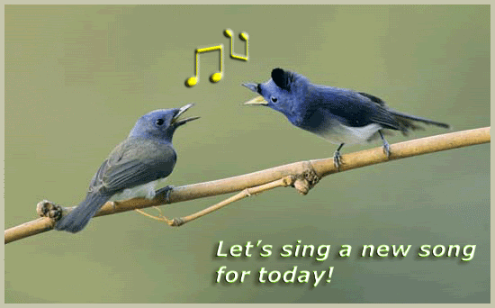 birds singing