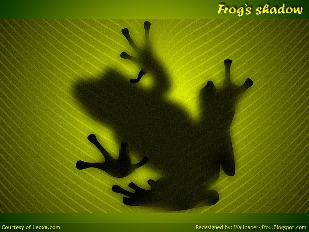 Frog's shadow