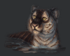 Tiger.gif Tiger image by Ruby1952