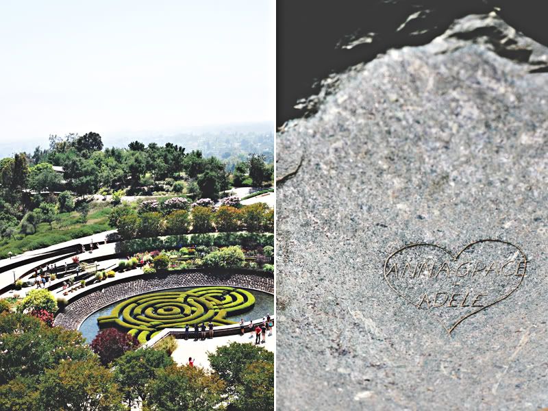 getty center,summer 2010,staycation,los  angeles,florals,architecture,garden