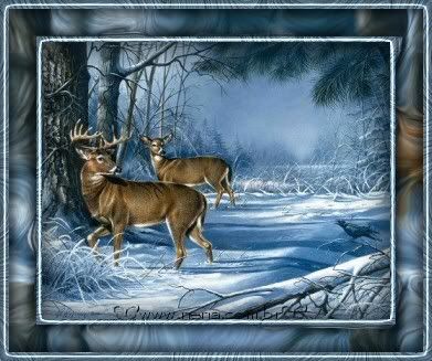 qd059n.jpg siervos picture by mariana-58