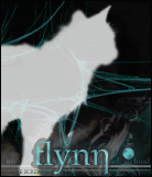 FLYNN • Avatar