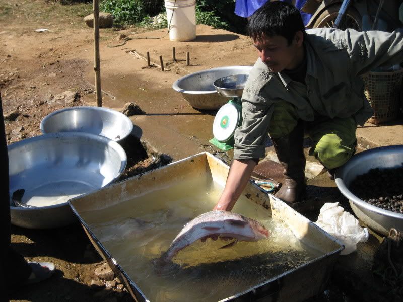 Đà Lạt có bao nhiêu anh em 5s - 4