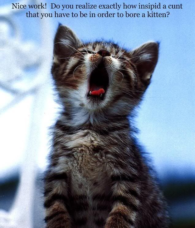 http://i234.photobucket.com/albums/ee222/DecadentIntrovert/ShitsNGiggles/Cats/KittyFindsYouAnInsipidCunt.jpg