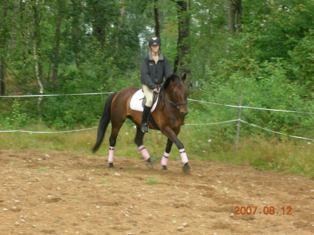 Foto2008.jpg