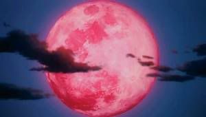 http://i234.photobucket.com/albums/ee226/douglasadmin/nightwizard_01.jpg