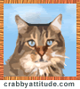 Cool free animations at Crabbyattitude.com