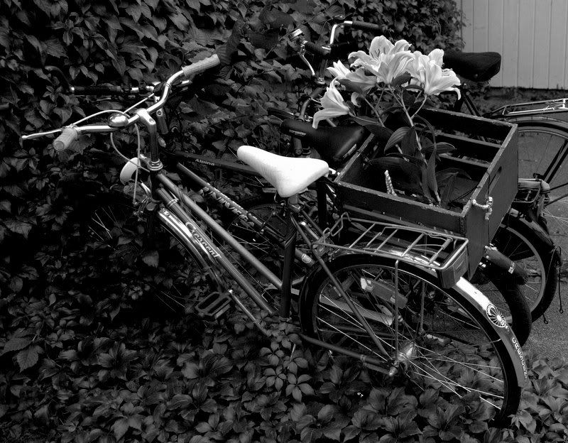 Black-White [Siyah Beyaz] Resimler (4. Katalog)