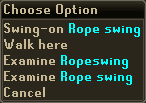 Ropeswing.png