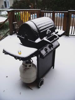 bbqsnow.jpg