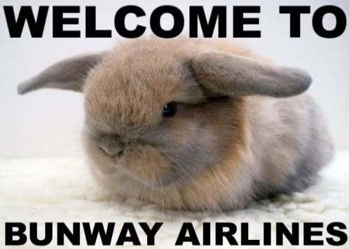 bunway-airlines-2.jpg