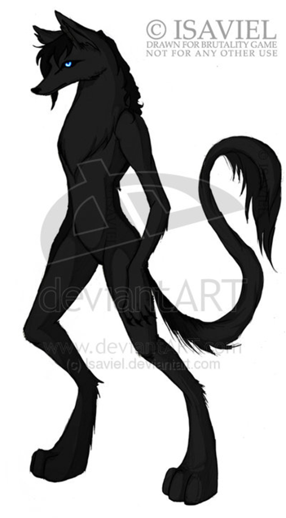 Shewolf 1 Photo by rollarock Photobucket