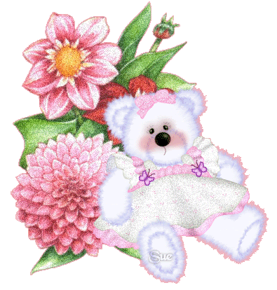 obrázky a animace a gify