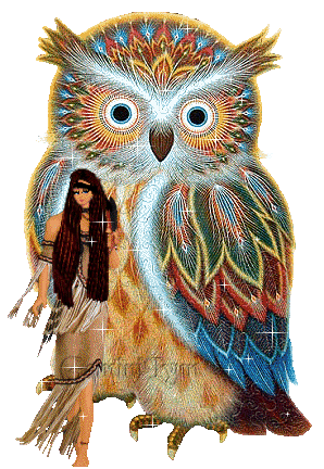 native american owl
