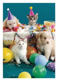 HappyBirthday2.jpg image by nanseivwright