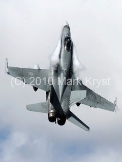 7D007985b_188729.jpg