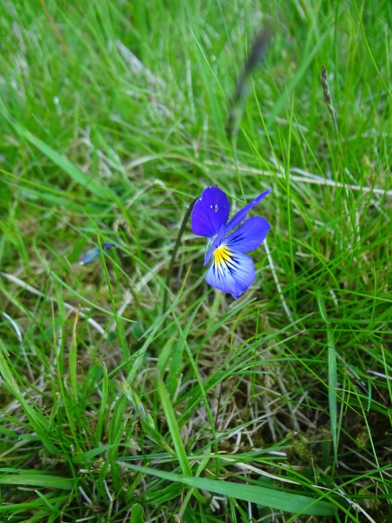  photo DSC05774.jpg