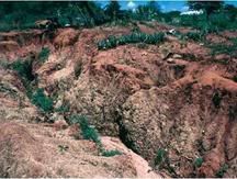 bad soil erosion